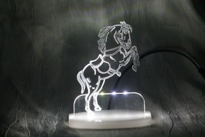 Nachtlicht Pferd Weiss