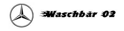 LKW Namensschild mit Gravur - Waschbär 02