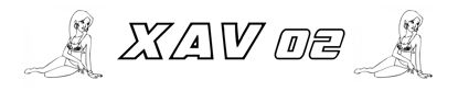 LKW Namensschild mit Gravur - XAV 02