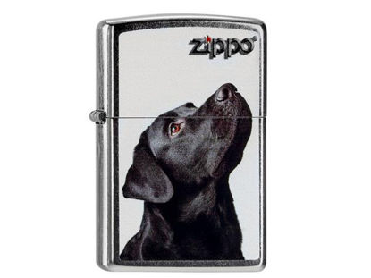 Zippo Feuerzeug - Black Lab