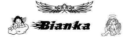 Beleuchtetes LKW Namensschild mit Bianka  LED Gravur