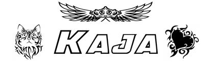 Beleuchtetes LKW Namensschild mit Kaja LED Gravur