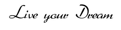 Beleuchtetes LKW Namensschild mit Live your Dream LED Gravur