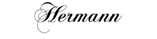 Beleuchtetes LKW Namensschild mit Hermann LED Gravur