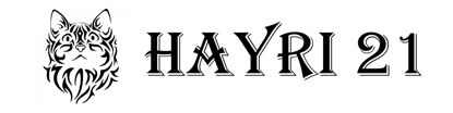 Beleuchtetes LKW Namensschild mit Hayri 21 LED Gravur