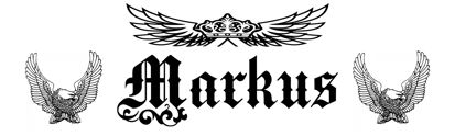 Beleuchtetes LKW Namensschild mit Markus LED Gravur