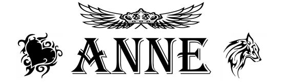 Beleuchtetes LKW Namensschild mit Anne LED Gravur