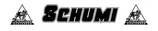 Beleuchtetes LKW Namensschild mit Schumi LED Gravur
