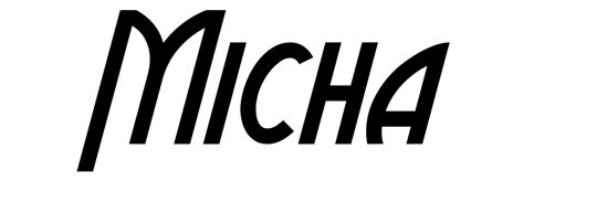 Beleuchtetes LKW Namensschild mit Micha  LED Gravur