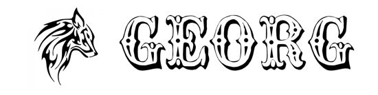 Beleuchtetes LKW Namensschild mit GEORG LED Gravur