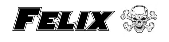 Beleuchtetes LKW Namensschild mit Felix  LED Gravur