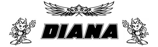 Beleuchtetes LKW Namensschild mit DIANA LED Gravur