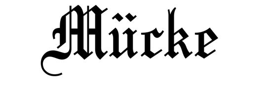 Beleuchtetes LKW Namensschild mit Mücke LED Gravur