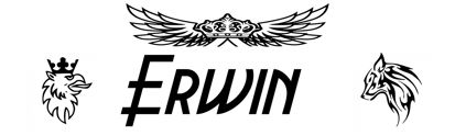 Beleuchtetes LKW Namensschild mit Erwin  LED Gravur