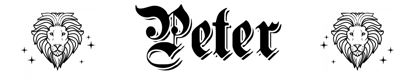 Beleuchtetes LKW Namensschild mit Peter LED Gravur